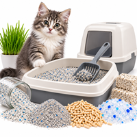 CAT LITTER