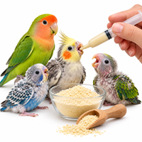 BIRD HAND FEEDING